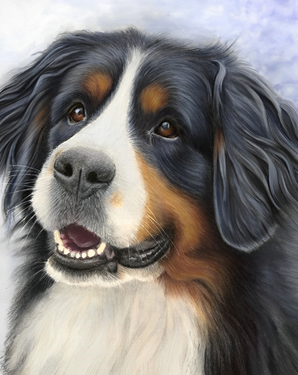 Malen Nach Zahlen 'Niedlicher Berner Sennenhund' | 40x50 Cm DIY Leinwand-Set | Für Kinder & Wohnkultur