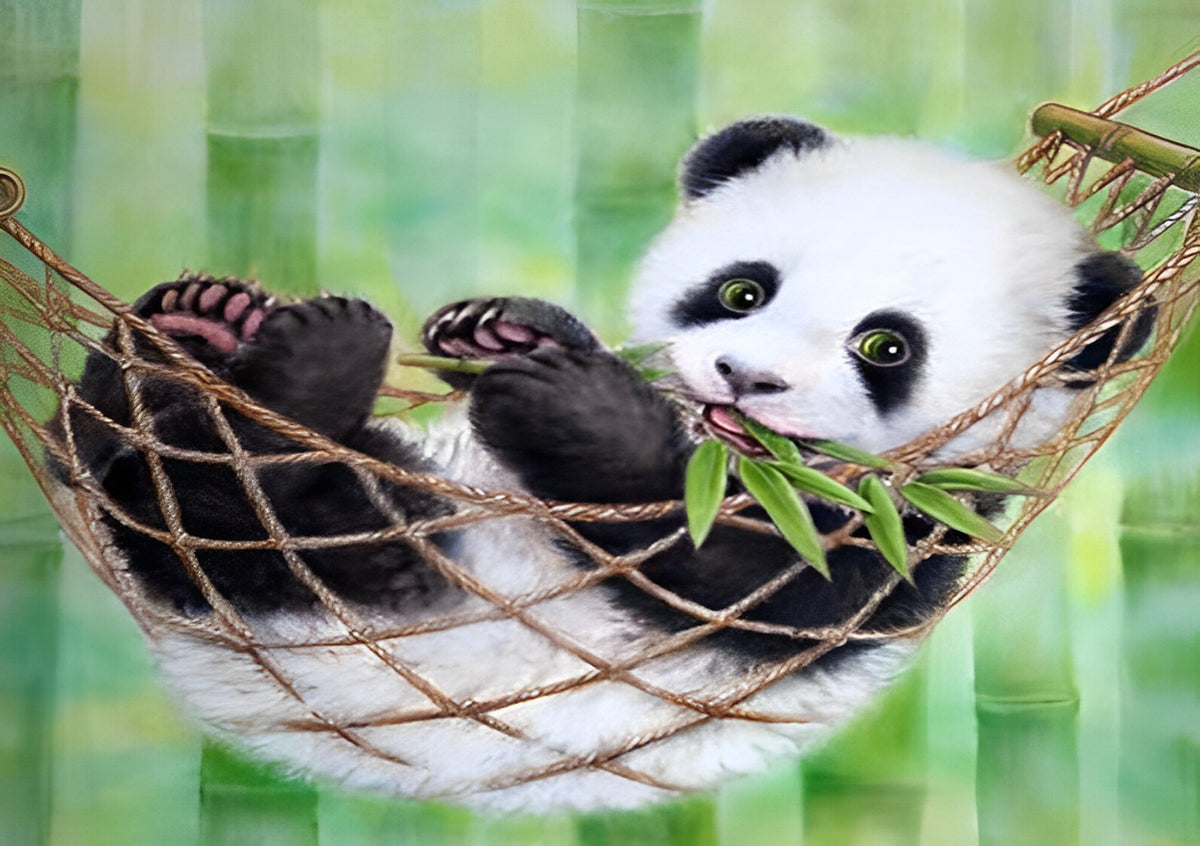 ABEUTY Malen Nach Zahlen 'Schöner Panda' – 40x50cm Leinwand, Inkl. Acrylfarben & Pinsel, DIY Ölgemälde