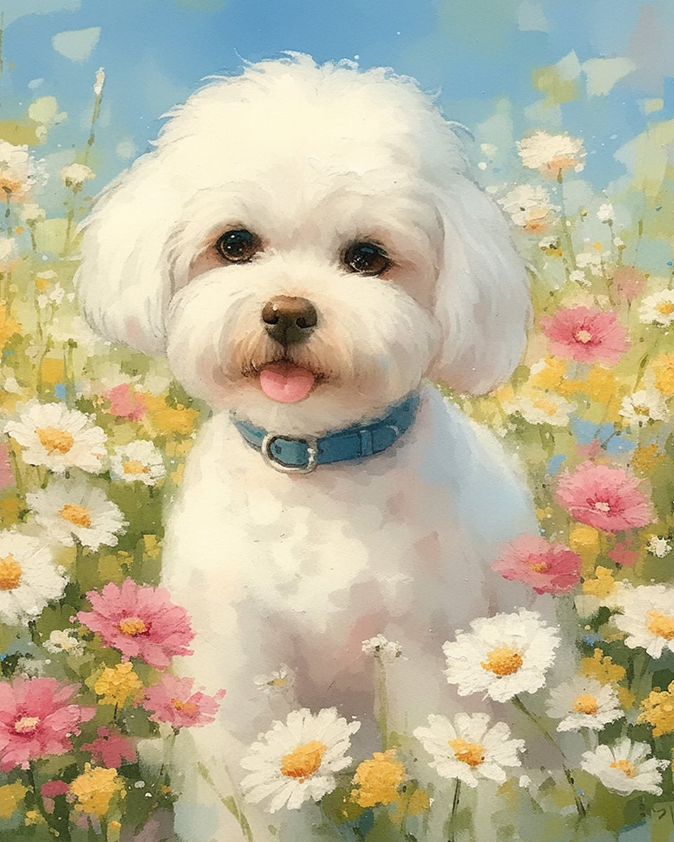 ZMHZMY Malen Nach Zahlen Kit – Malteser Hund, 40x50 Cm, Mit Acrylfarben & Pinseln, Für Erwachsene
