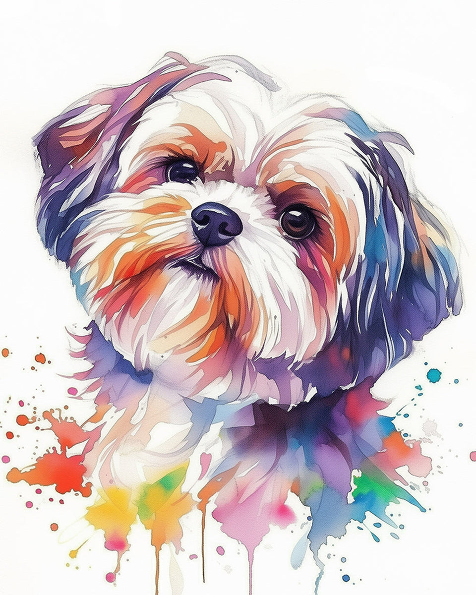 Malen Nach Zahlen Set – Shih Tzu Hund Motiv, 40x50 Cm Leinwand Mit Acrylfarben & Pinseln
