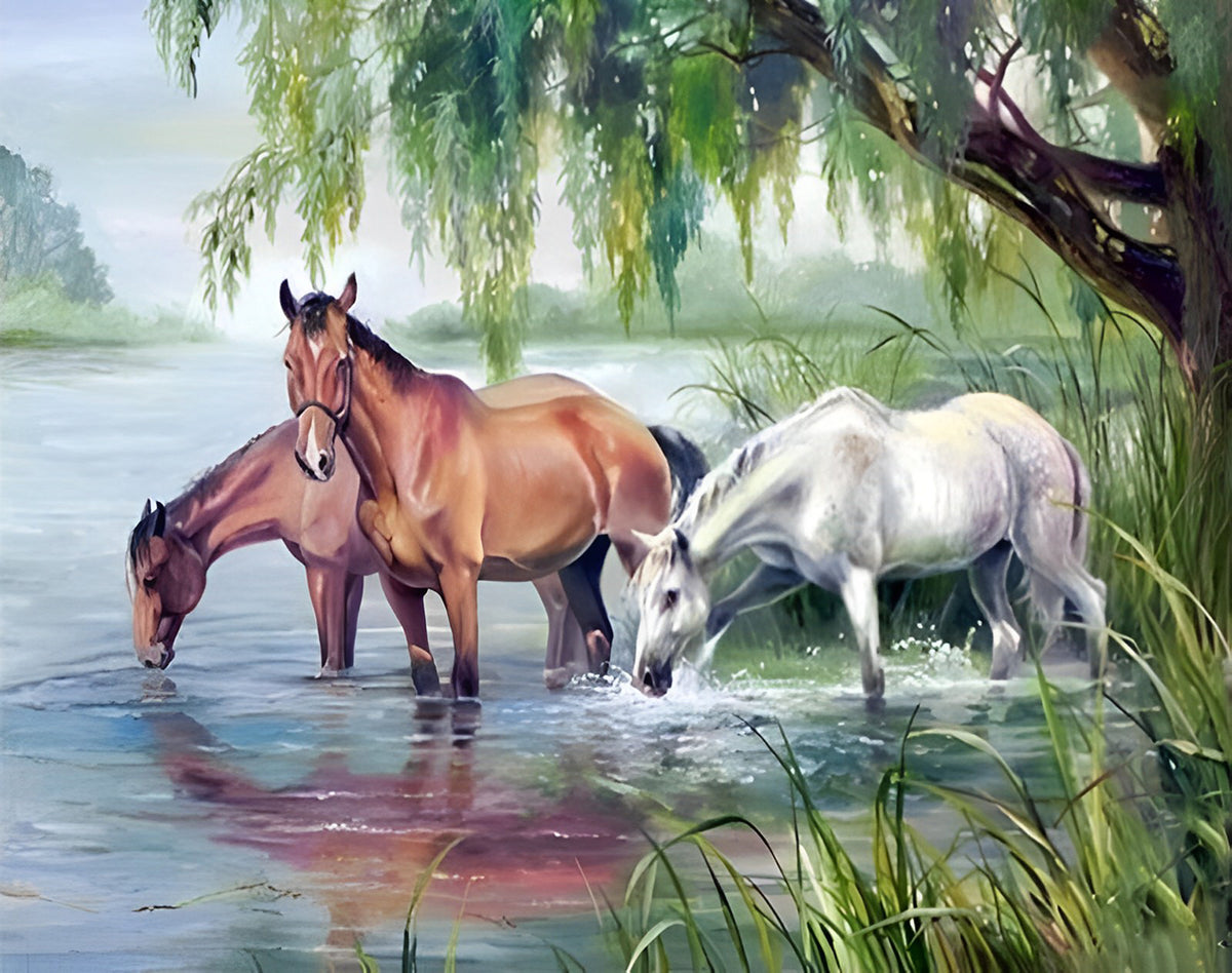 Mal-nach-Zahlen-Set „Dunkles Pferd“ – 40x50 Cm Leinwand, Inkl. Acrylfarben & Pinsel