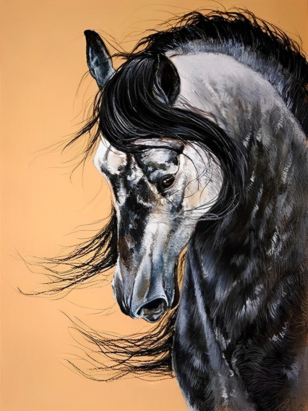 Elegantes schwarzes Pferd Malen nach Zahlen –