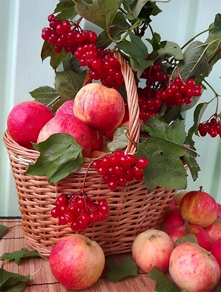 Äpfel und rote Beeren im Korb Malen nach Zahlen