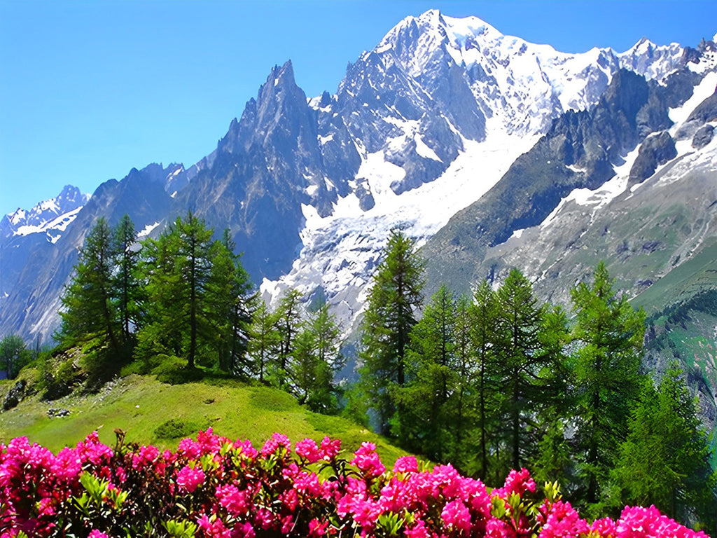 Alpen und Rosen Malen nach Zahlen