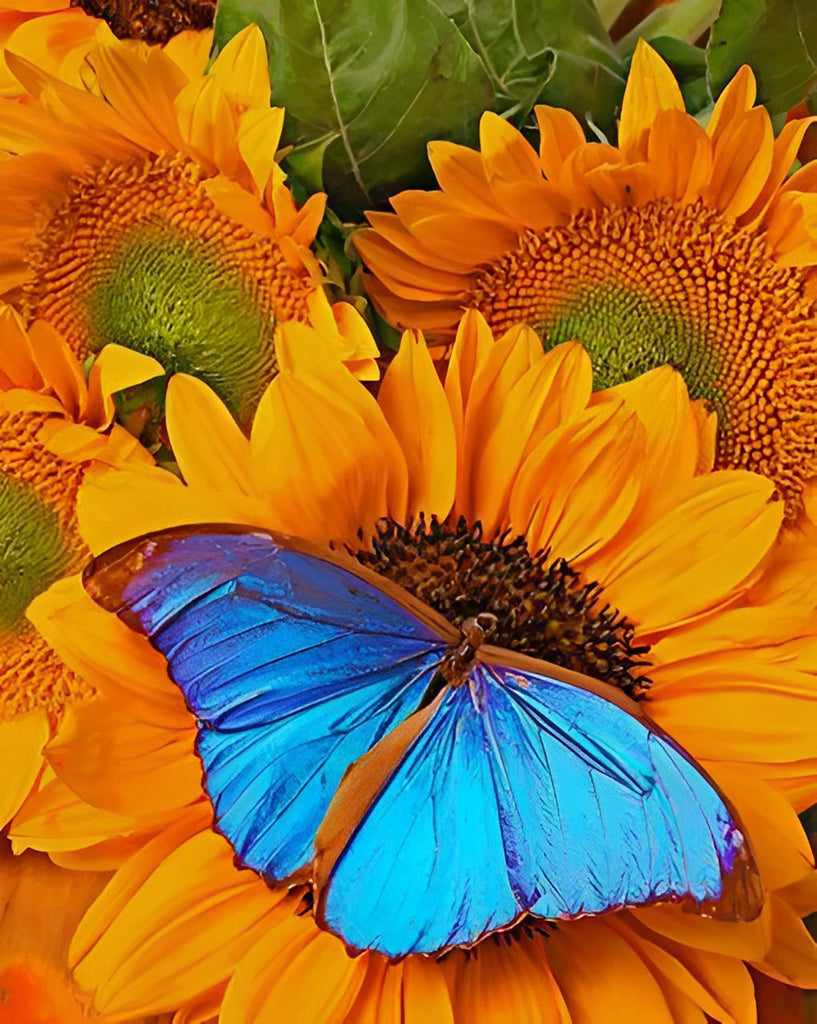 Blauer Schmetterling und Sonnenblumen Malen nach Zahlen