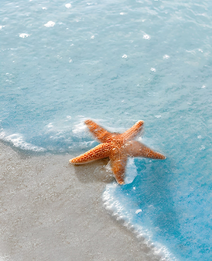 Blaues Meerwasser und orangefarbener Seestern Malen nach Zahlen