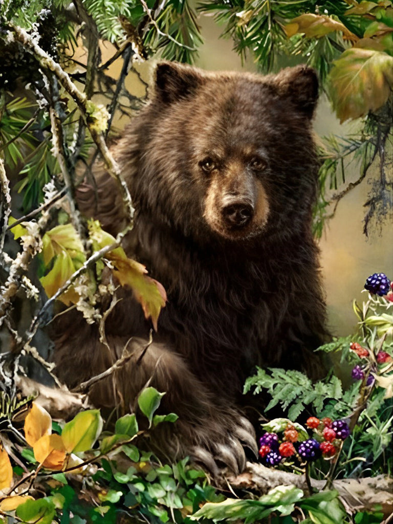 Braunbär im Wald Malen nach Zahlen