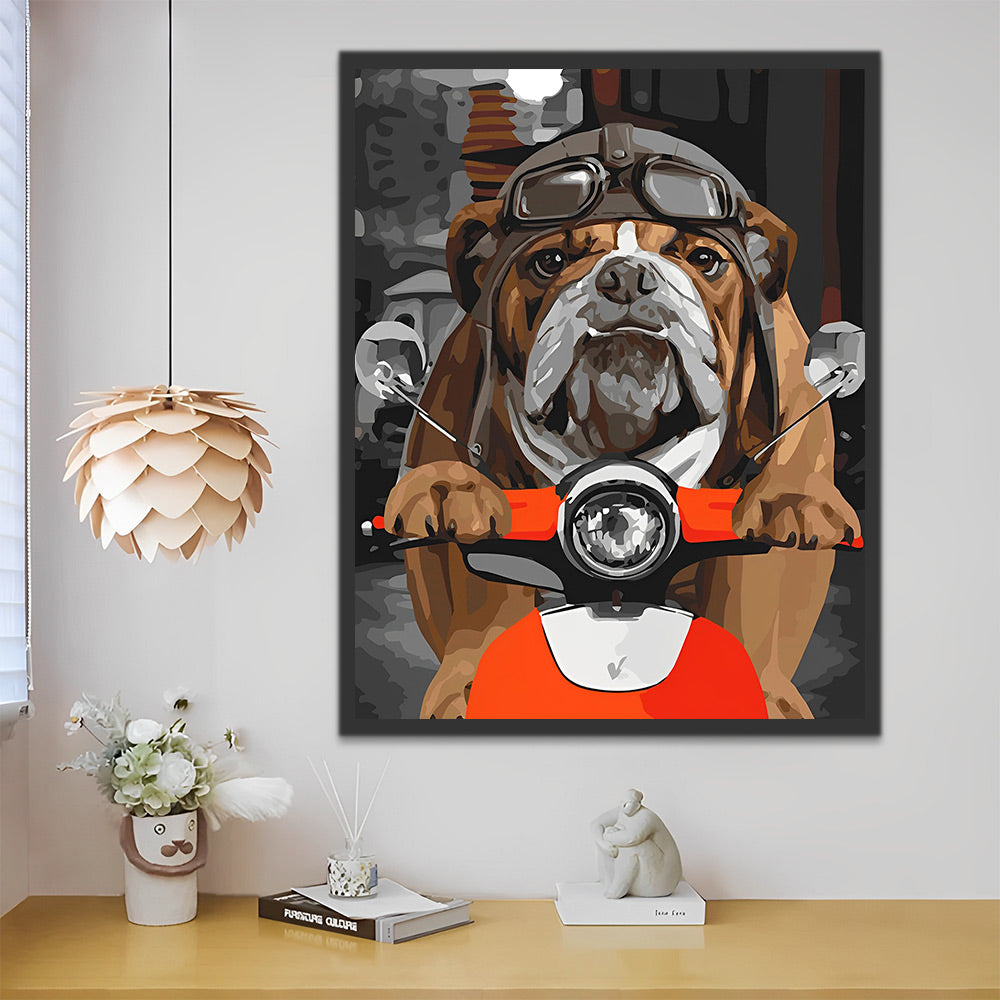 Bulldogge auf einem Motorrad Malen nach Zahlen