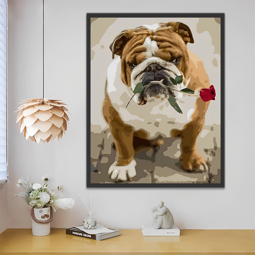 Bulldogge mit roter Rose Malen nach Zahlen