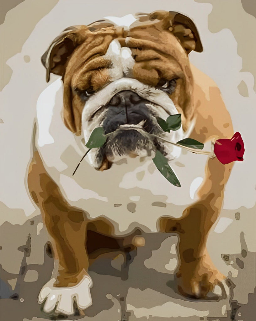 Bulldogge mit roter Rose Malen nach Zahlen