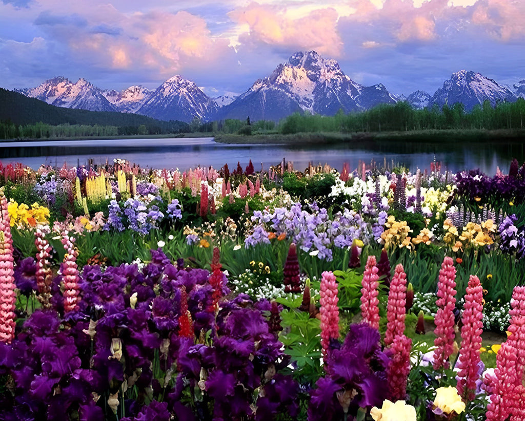 Bunte Blumen im Tal Malen nach Zahlen