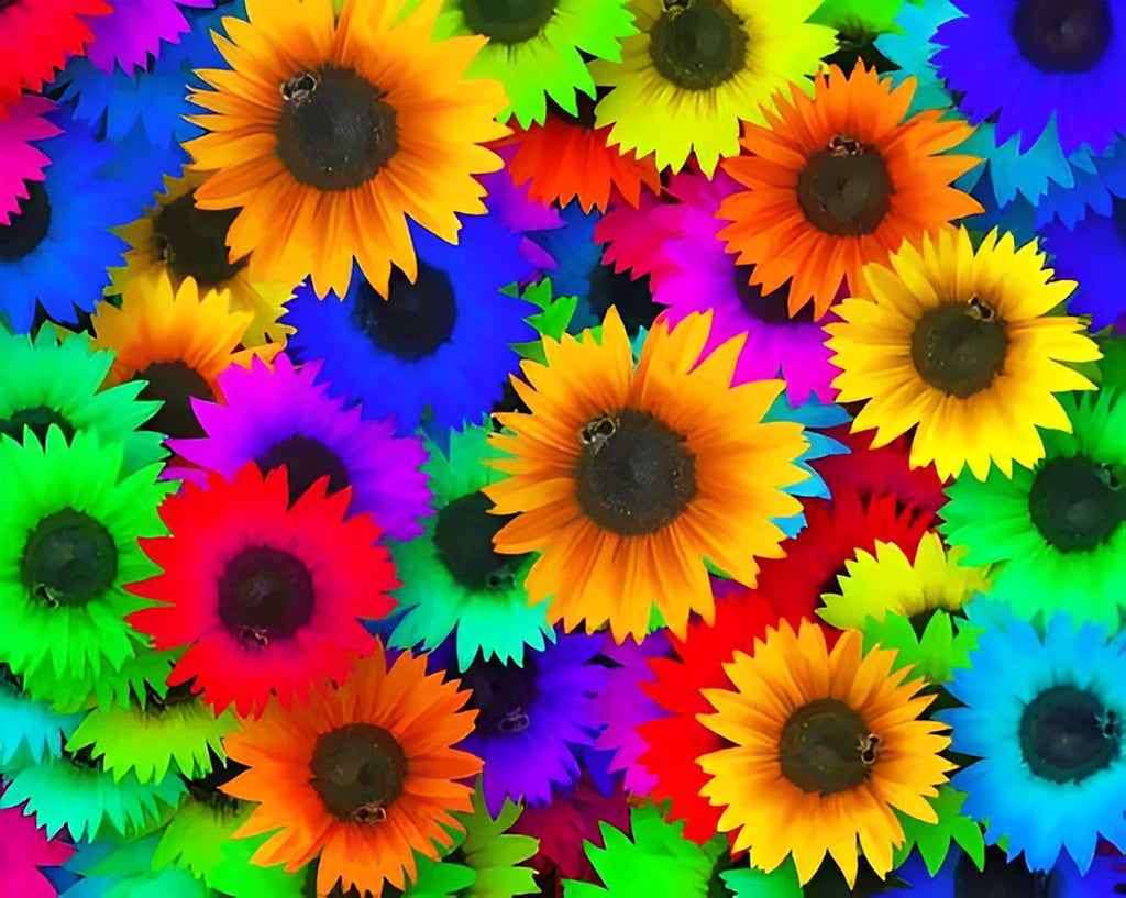 Bunte Sonnenblumen Malen nach Zahlen