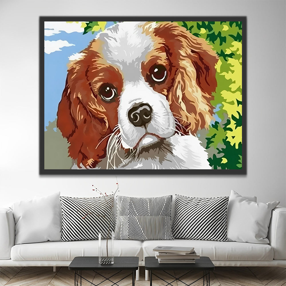 Cavalier King Charles Spaniel Malen nach Zahlen