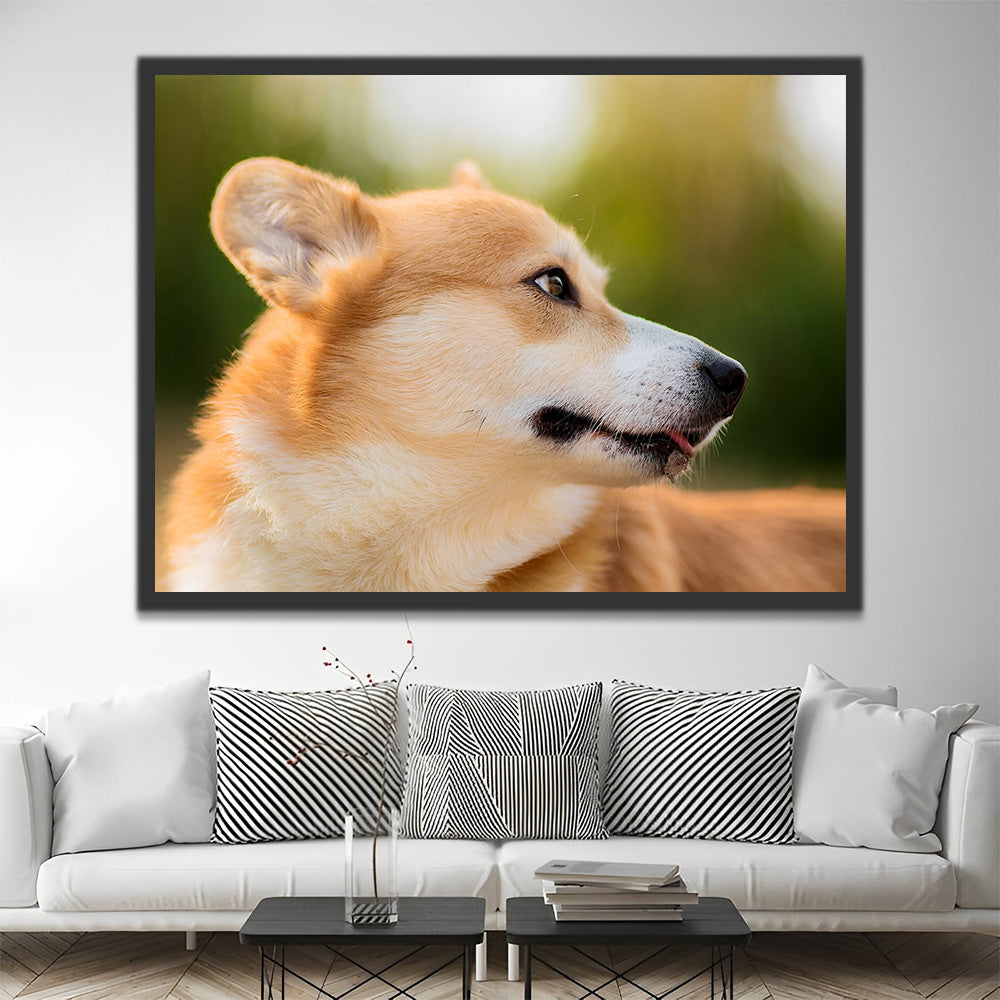 Corgi mit Rückblick Malen nach Zahlen