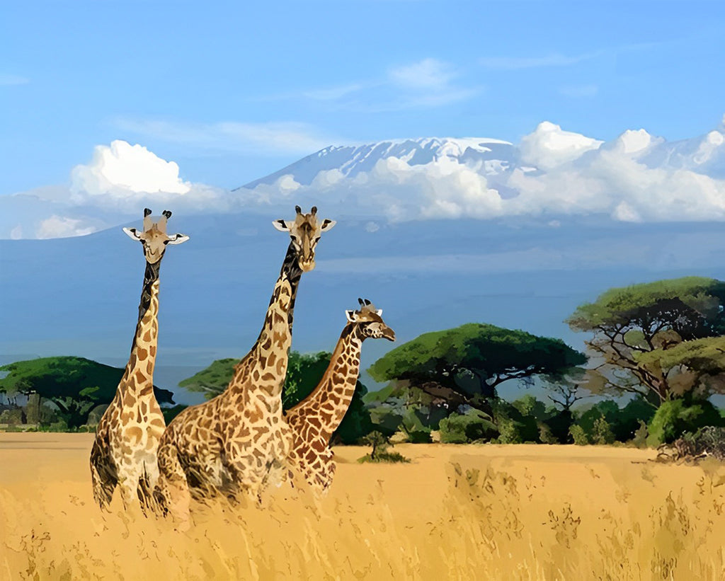 Drei Giraffen unter blauem Himmel Malen nach Zahlen