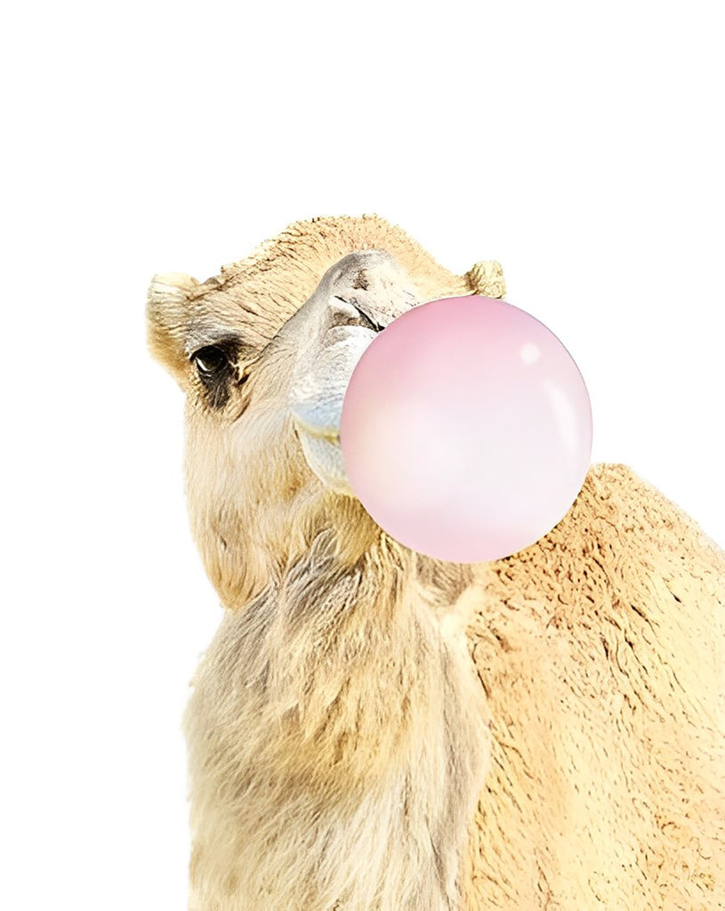 Eichhörnchen mit rosa Ballon Malen nach Zahlen