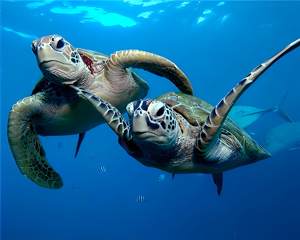 Ein Paar Schildkröten im Meer Malen nach Zahlen