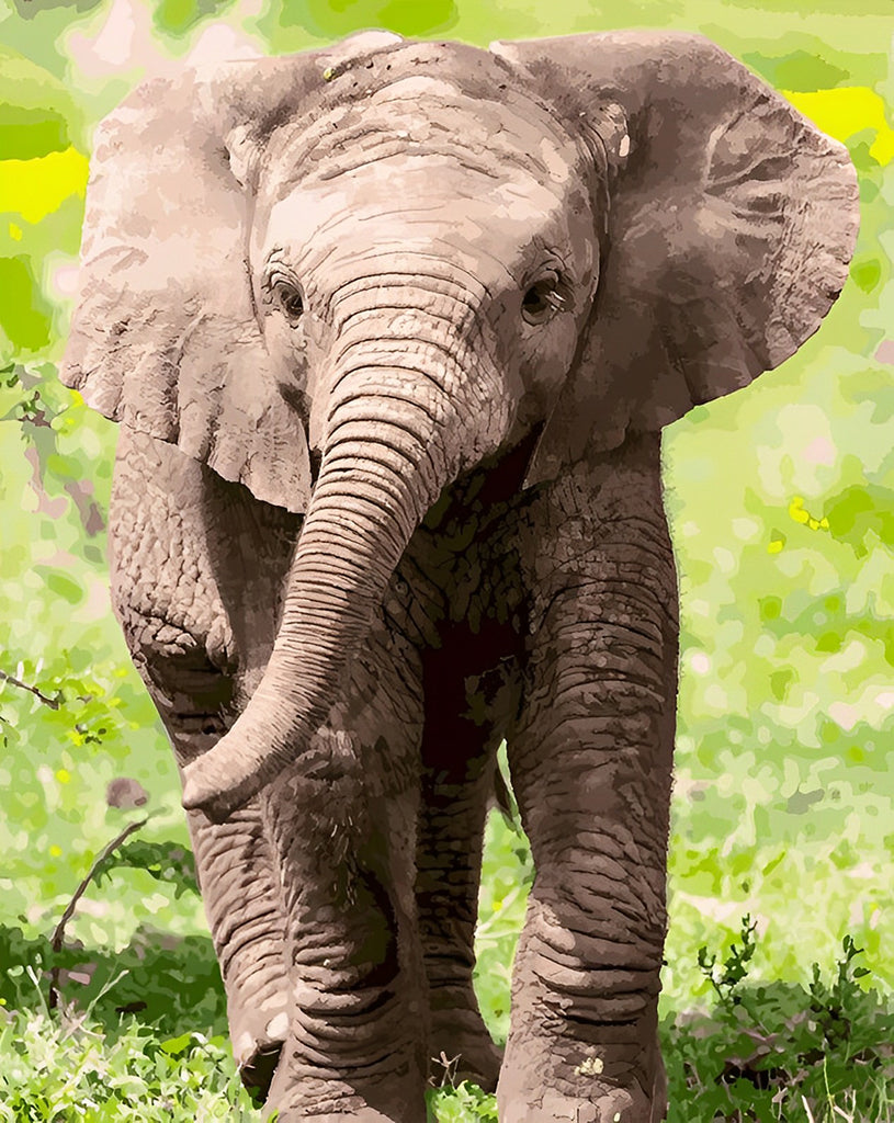 Elefant auf der Wiese Malen nach Zahlen