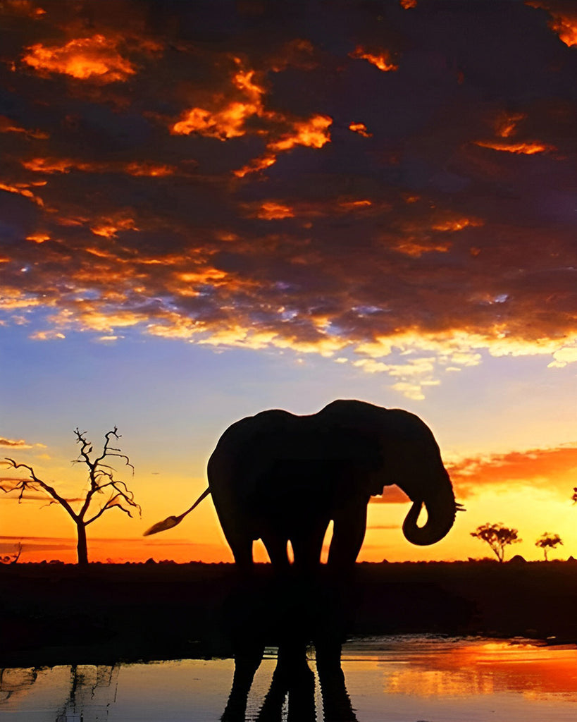 Elefant im Sonnenuntergang Malen nach Zahlen