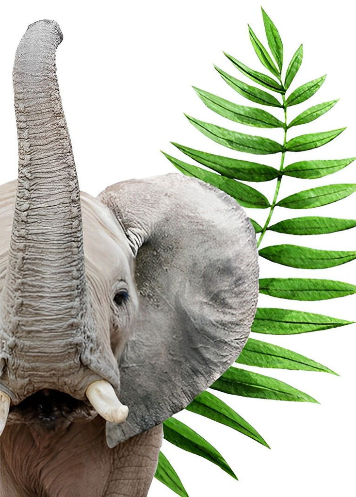 Elefant und Blatt Malen nach Zahlen