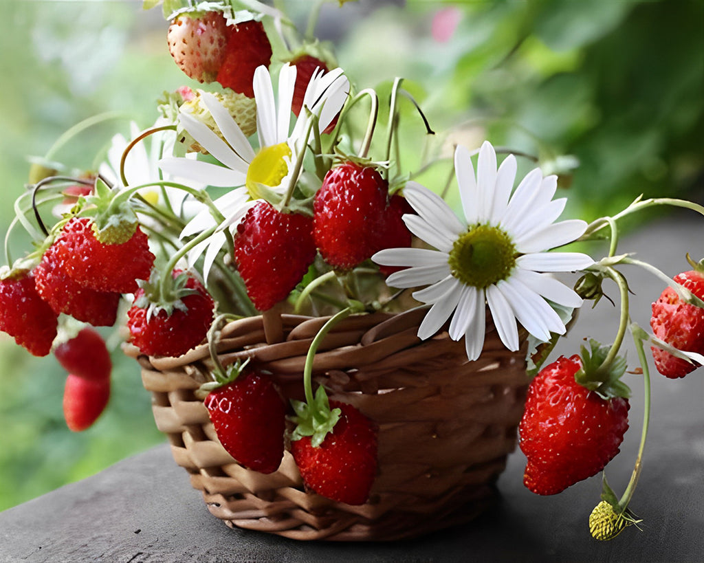 Erdbeeren und weiße Gänseblümchen Malen nach Zahlen