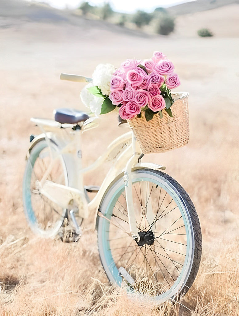 Fahrrad mit rosa Blumen auf der Steppe Malen nach Zahlen