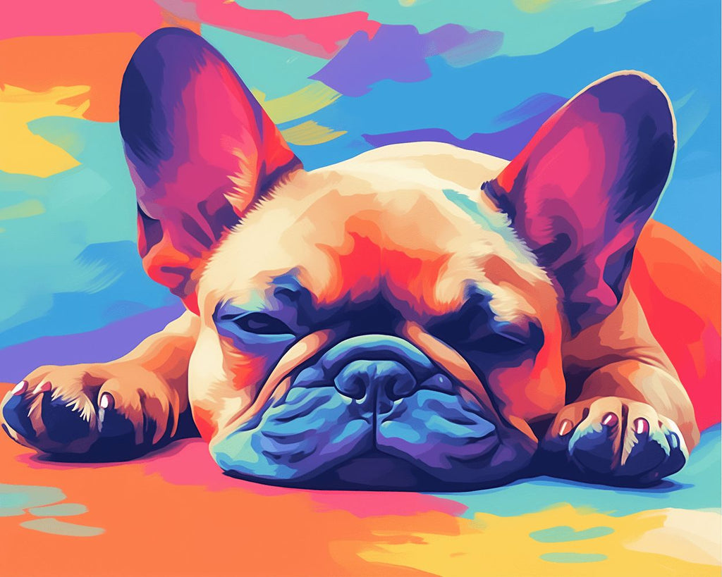 Farbige Französische Bulldogge auf dem Boden liegend Malen nach Zahlen