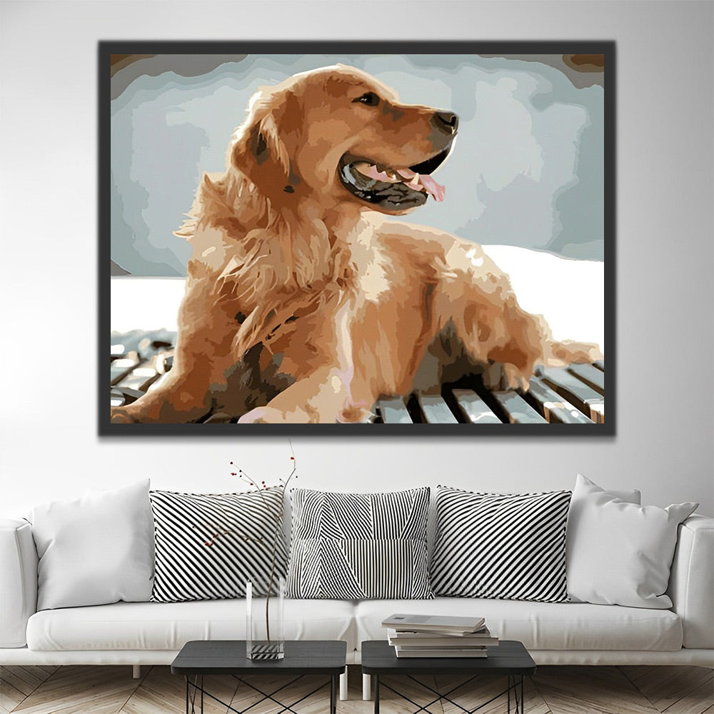 Golden Retriever auf dem Boden Malen nach Zahlen