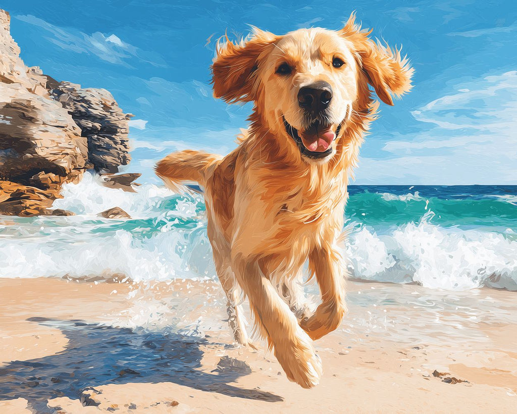 Golden Retriever läuft fröhlich am Meer Malen nach Zahlen