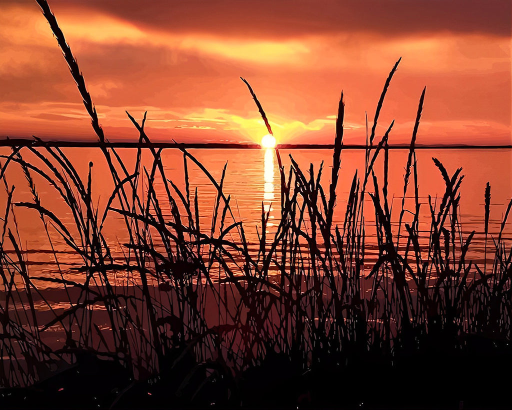 Gras im Sonnenuntergang Malen nach Zahlen