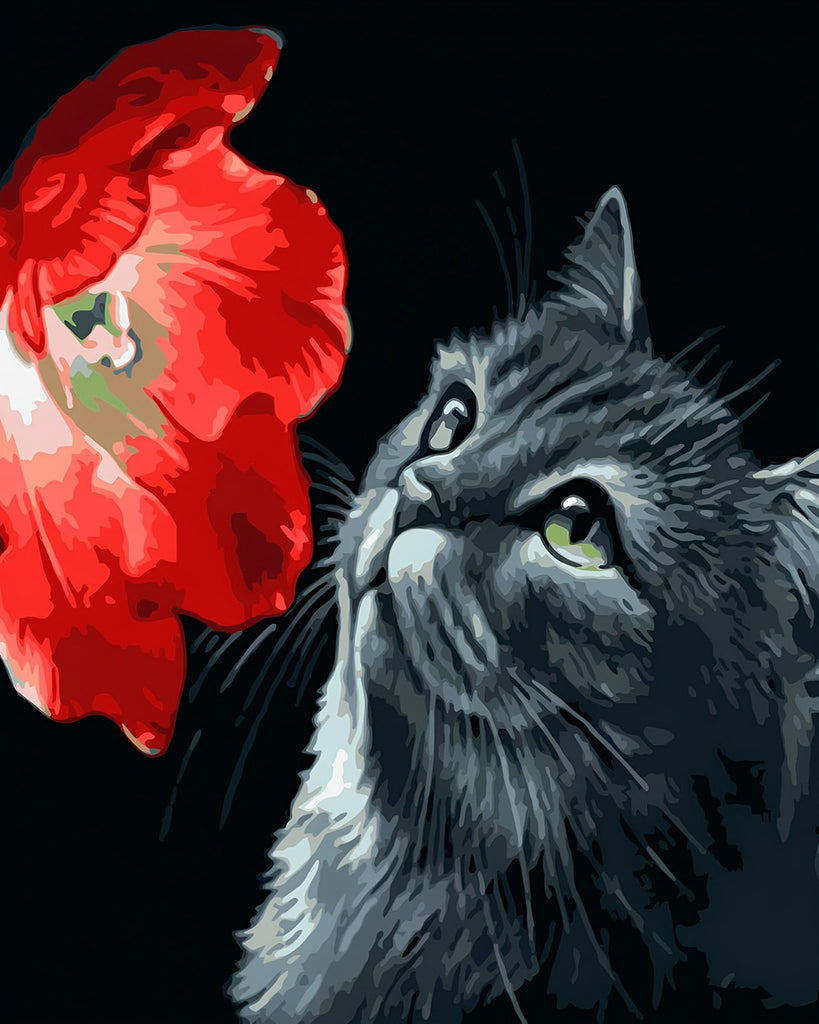 Graue Katze und rote Blume Malen nach Zahlen