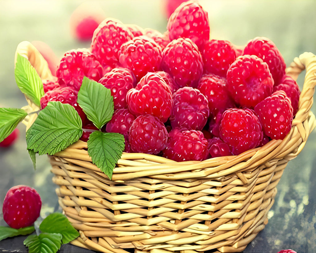 Himbeeren im Korb Malen nach Zahlen