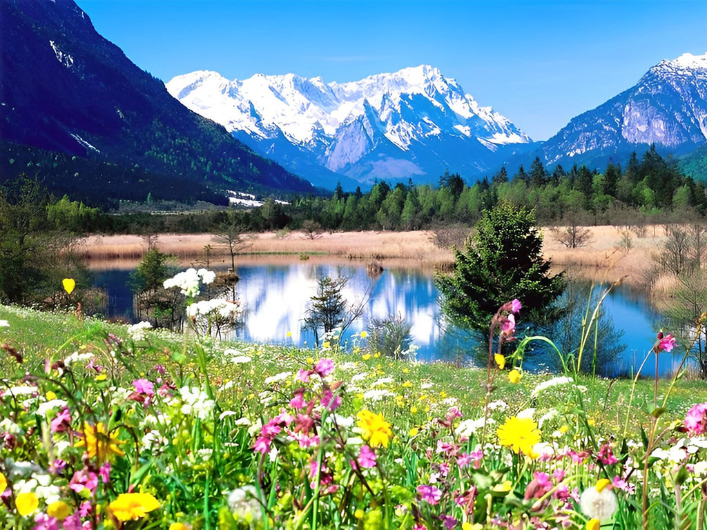 Hochgebirge und Garten Malen nach Zahlen