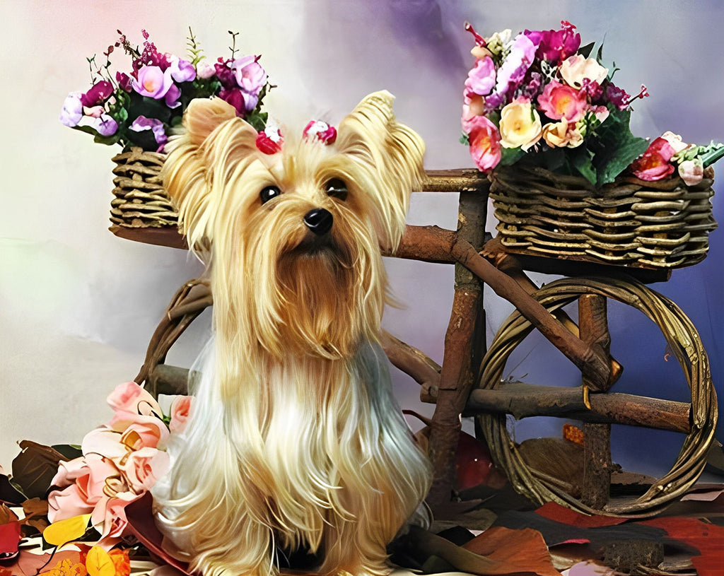 Holzfahrrad, Blumen und Yorkshire Terrier Malen nach Zahlen