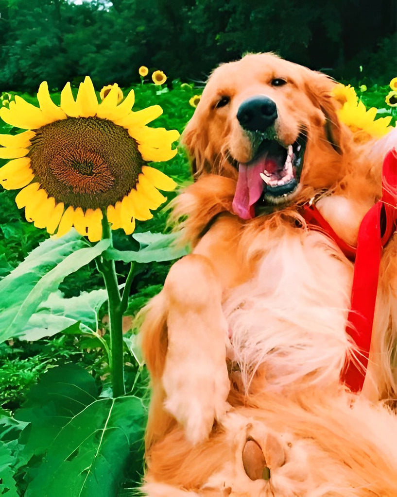 Hund und Sonnenblumen Malen nach Zahlen