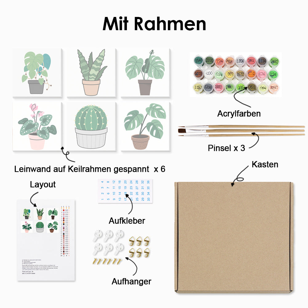 Kaktus und Grüne Topfpflanzen 6 Stück Mini Malen nach Zahlen