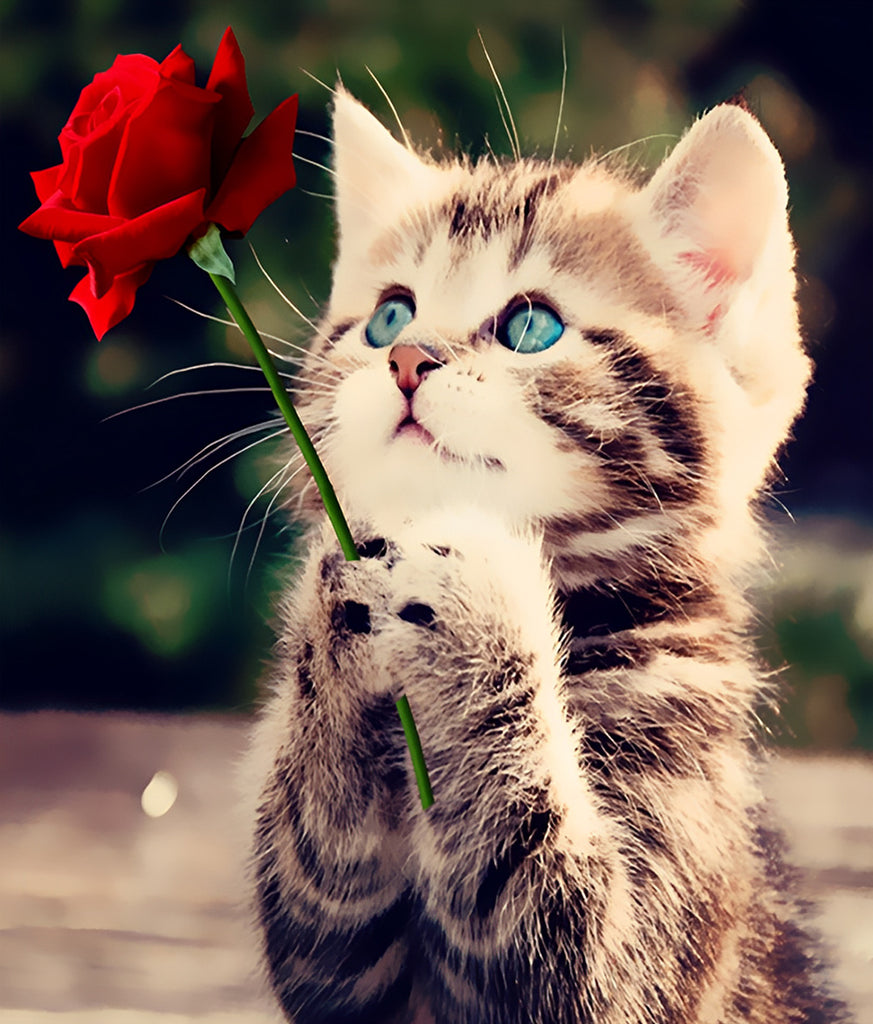 Katze mit roter Rose Malen nach Zahlen