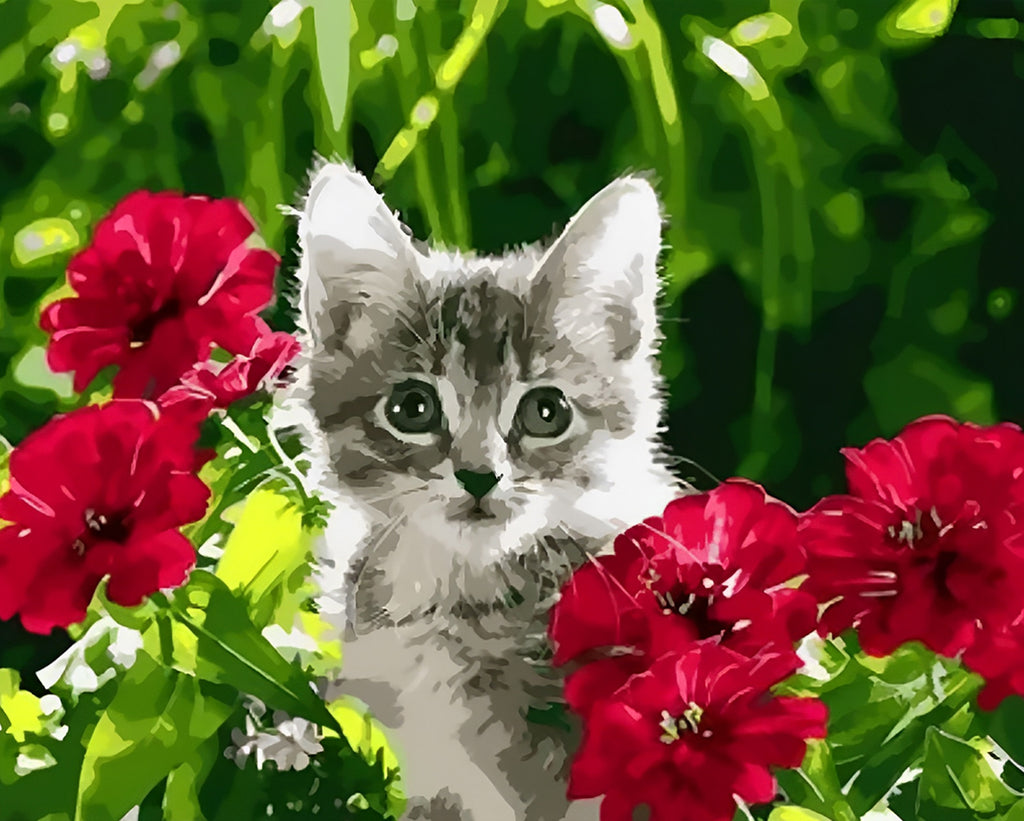 Katze und rote Blumen Malen nach Zahlen