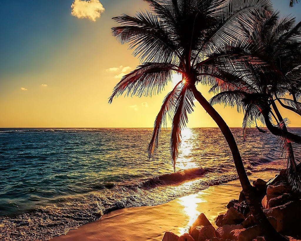 Kokospalmen am Strand bei Sonnenaufgang Malen nach Zahlen