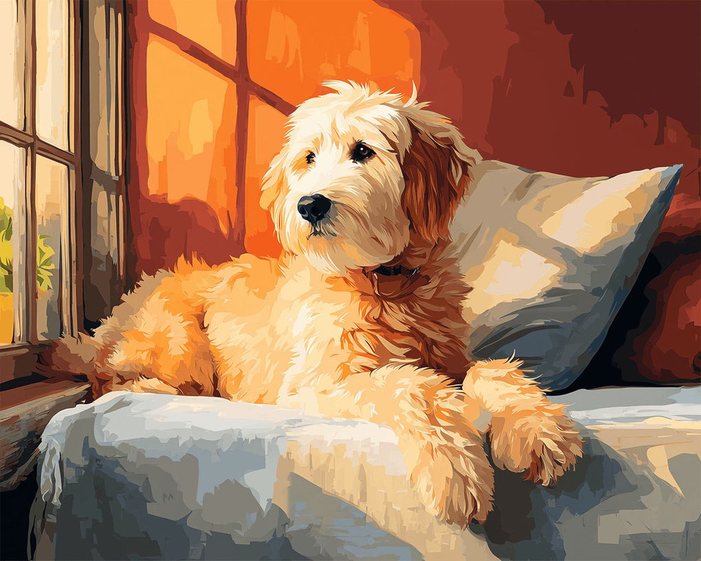 Labradoodle schaut aus dem Fenster Malen nach Zahlen