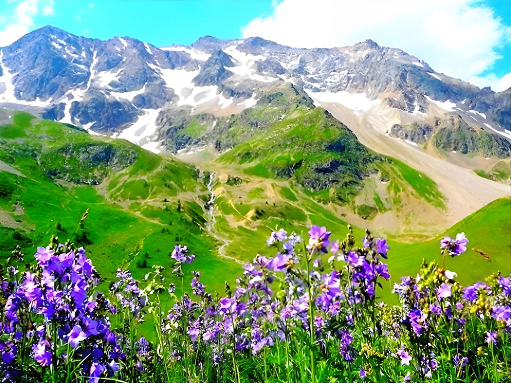 Lila Blumen am Fuße des Berges Malen nach Zahlen