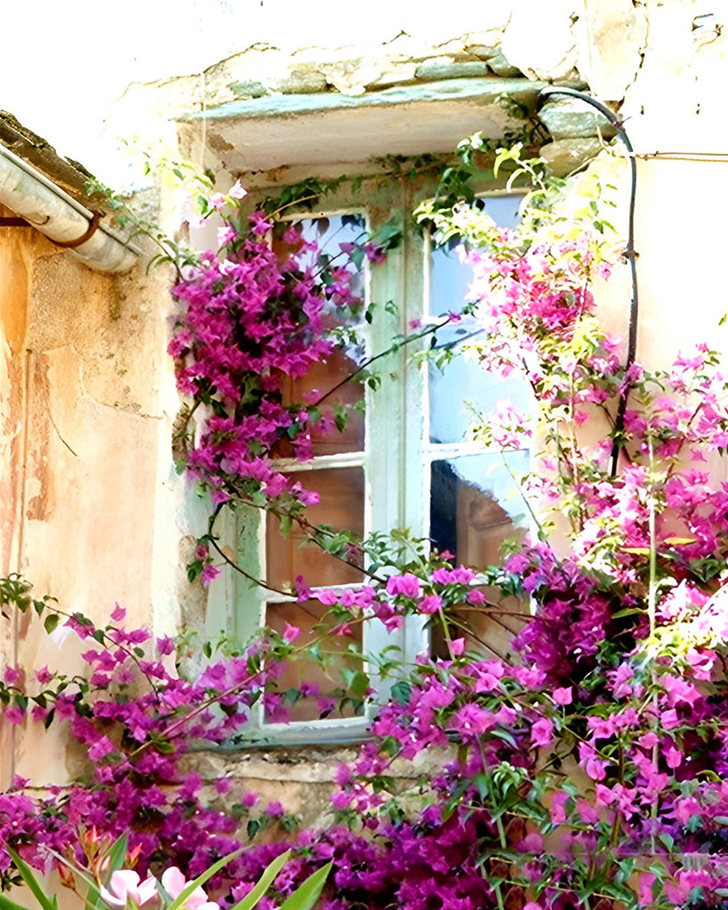 Lila Blumen auf der Fensterbank Malen nach Zahlen