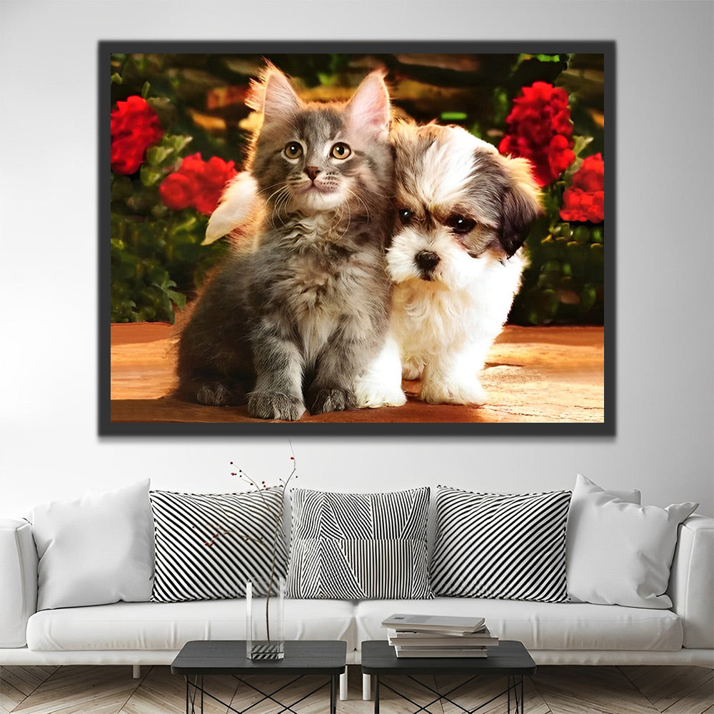 Maine Coon Katze und Shih Tzu Hund Malen nach Zahlen