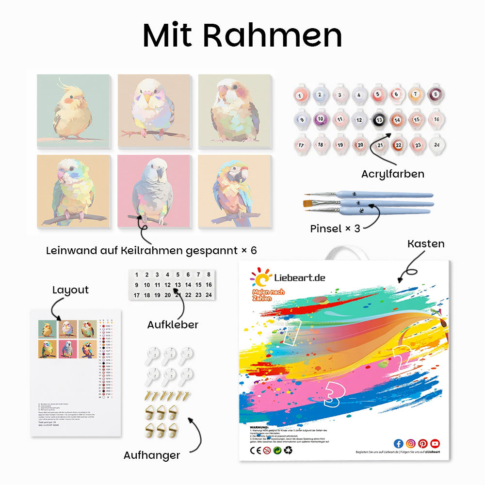 Niedliche bunte Vögel 6 Stück Mini Malen nach Zahlen