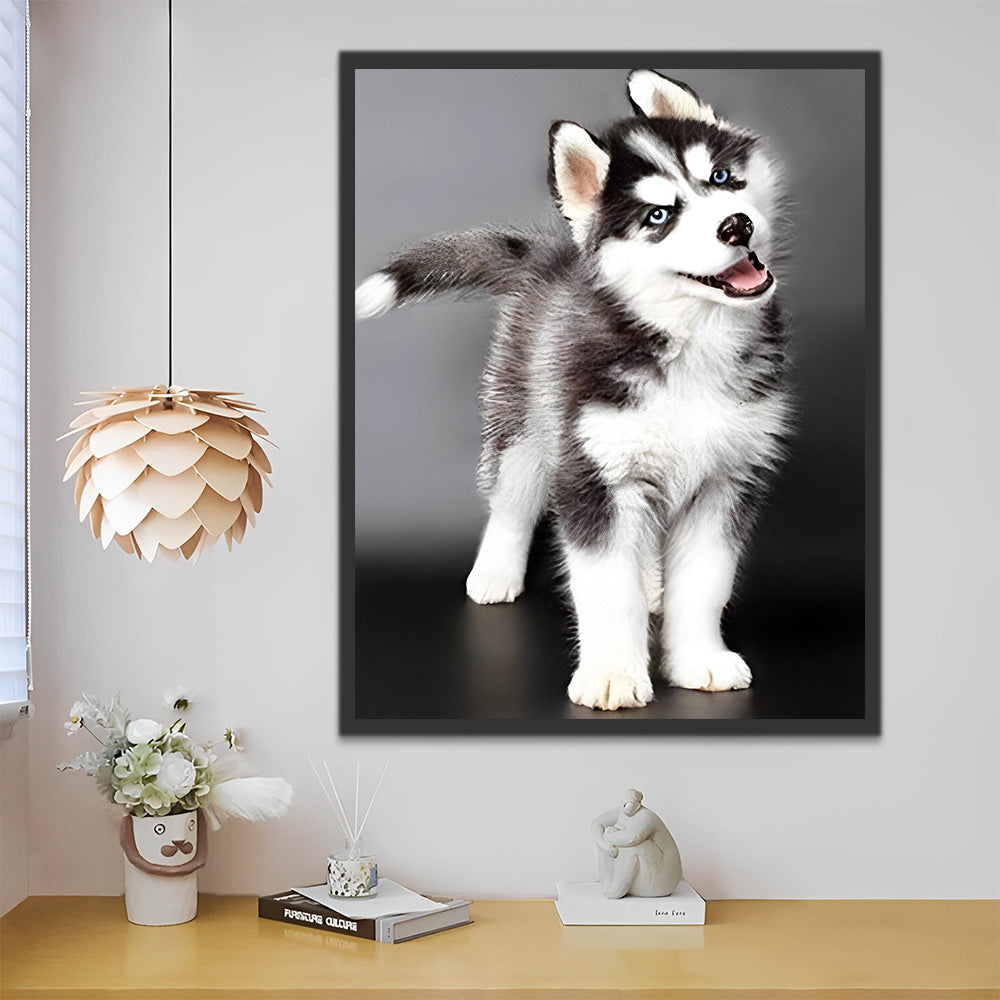 Niedlicher Husky Malen nach Zahlen