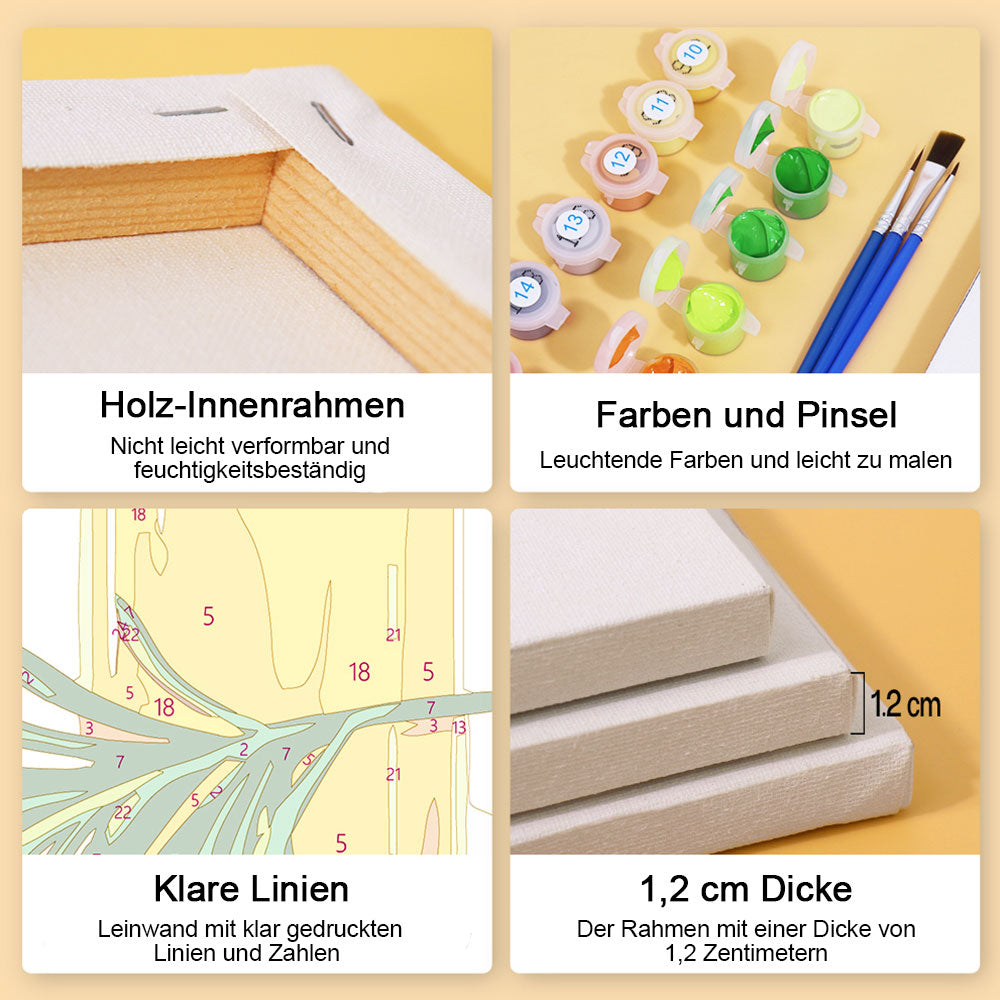 Nussöl 6 Stück Mini Malen nach Zahlen