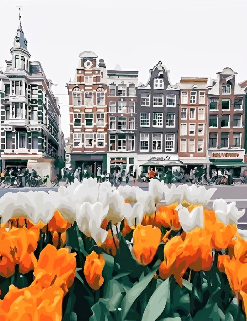 Orange und weiße Tulpen in der Stadt Malen nach Zahlen