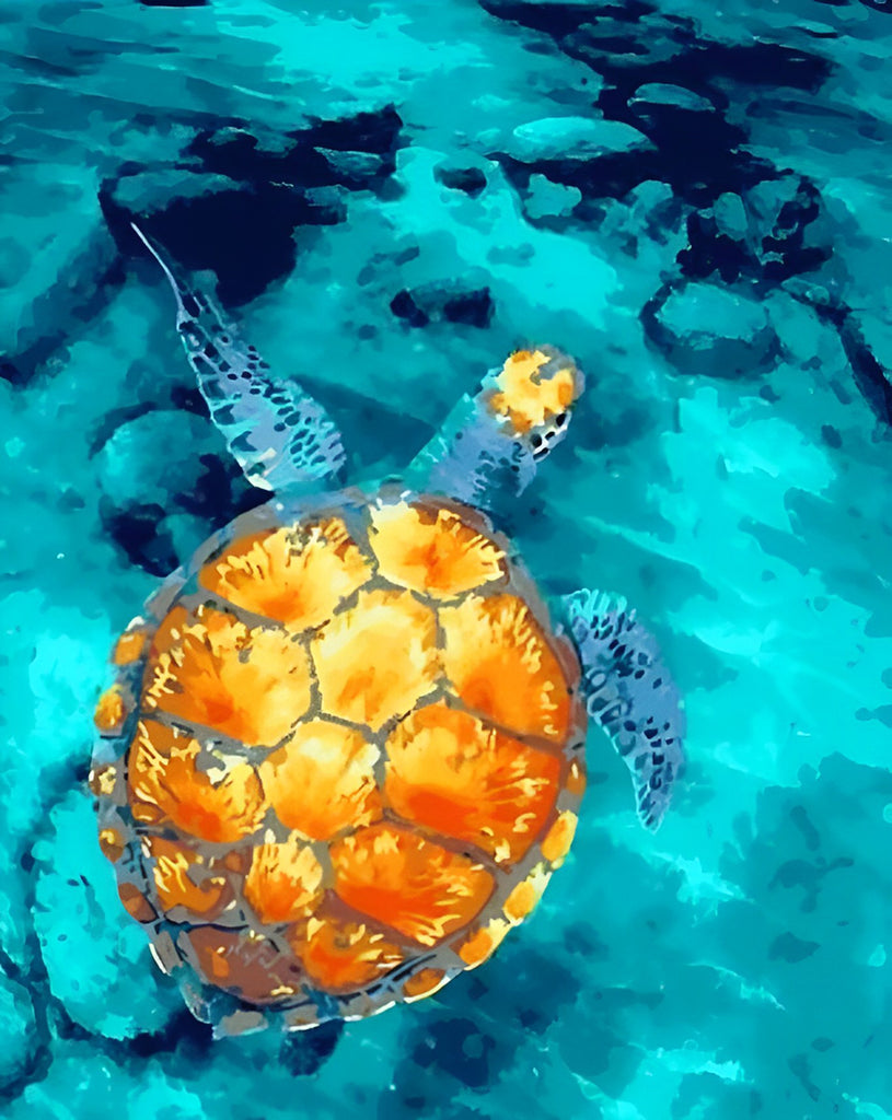 Orangefarbene Schildkröte im Wasser Malen nach Zahlen