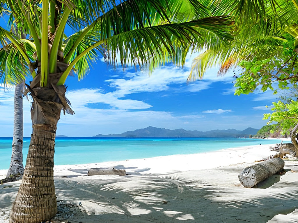 Palme am weißen Strand Malen nach Zahlen