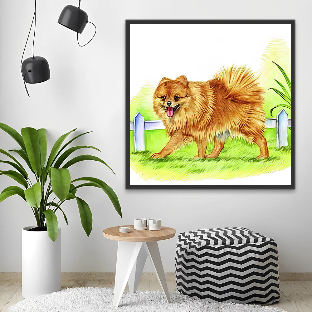 Pomeranian auf dem Gras Malen nach Zahlen